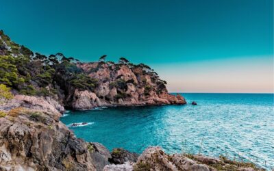 Luxury Beachfront Resort Marbella Spain