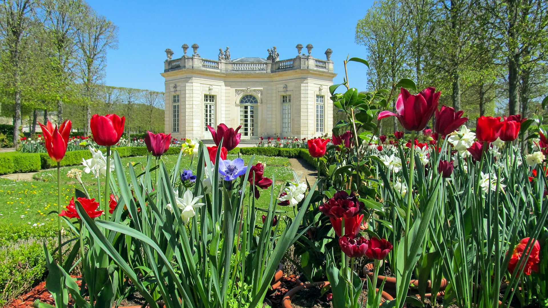 A garden at Versailles