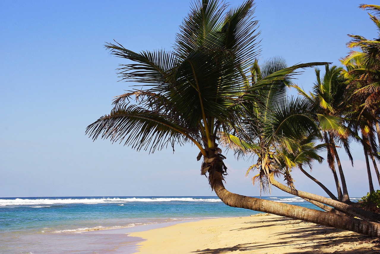 Dominican Republic beach