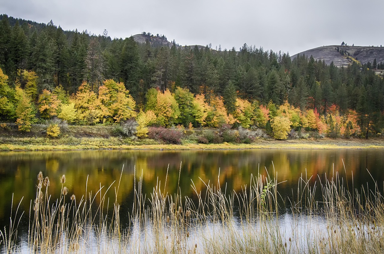 Idaho River